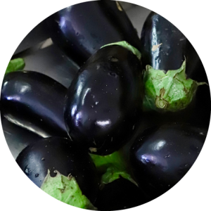 Aubergine