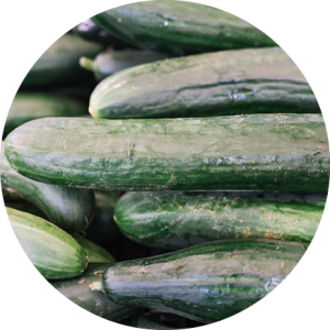 Concombre
