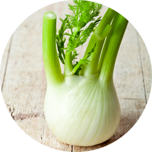 Fenouil