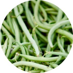 Haricot vert