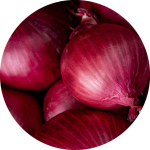 Oignon rouge