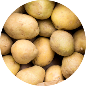 Pomme de terre