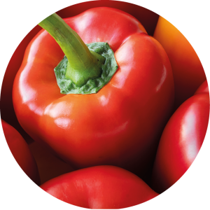 Poivron