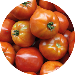 Tomate Type Coeur Rouge et Jaune